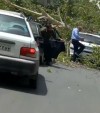 اخبار حوادث | جزئیات مرگ یک شیرازی به خاطر باد شدید | 100 ساعت عملیات آتش نشانان
